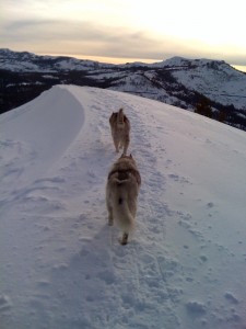 Snowshoe hike